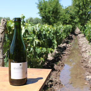 Champagne: A Two-Day Trip
